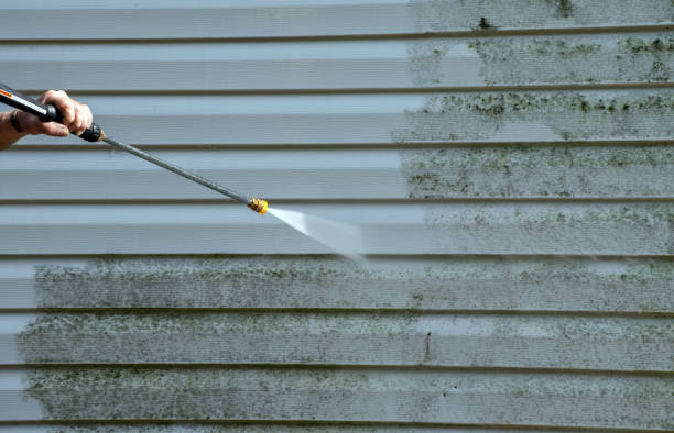 Best Roof Power Washing Services  in Dunn, NC